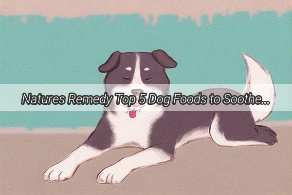 Natures Remedy Top 5 Dog Foods to Soothe Your Poochs fiery Spirit